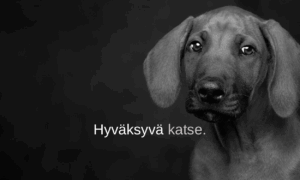 meni jo elämä 8