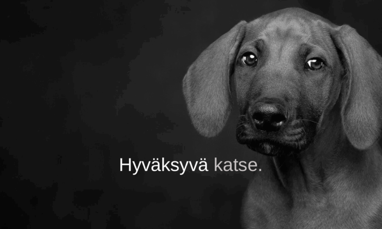 meni jo elämä 8